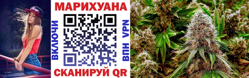 Купить  Ставрополь  Марихуана сатива 